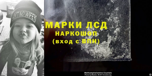 ECSTASY Майский