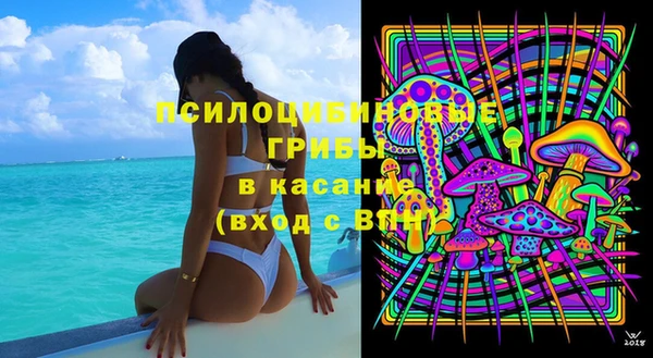 ECSTASY Майский