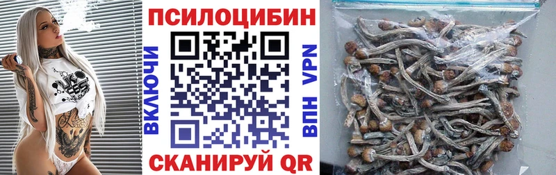 Галлюциногенные грибы Psilocybe  закладки  Суджа 